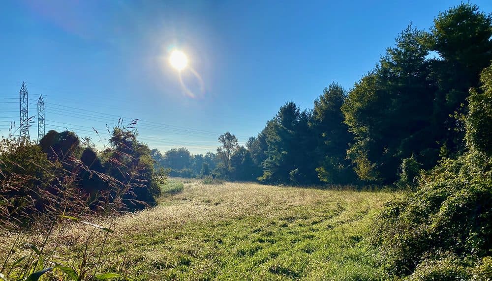 Farm entrance at first light