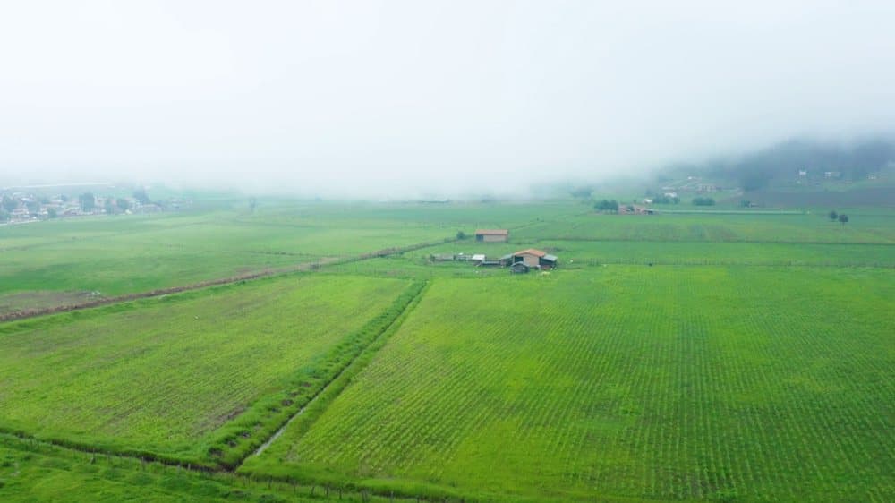 Drone view of the farm