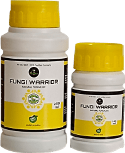 Fungi Warrior