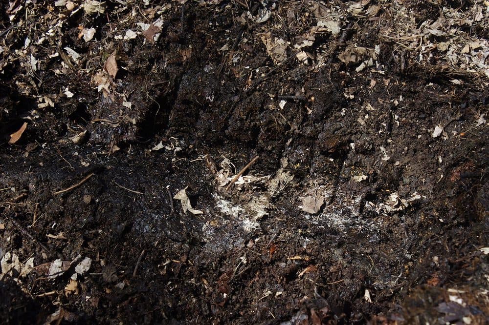 Organic Compost