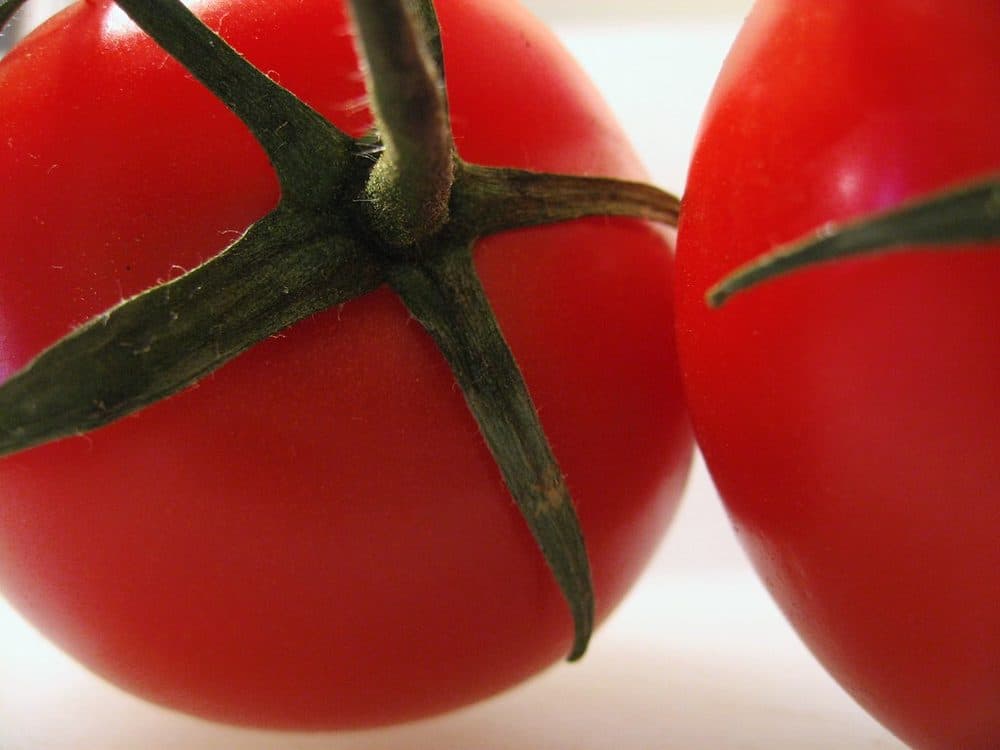 Tomato