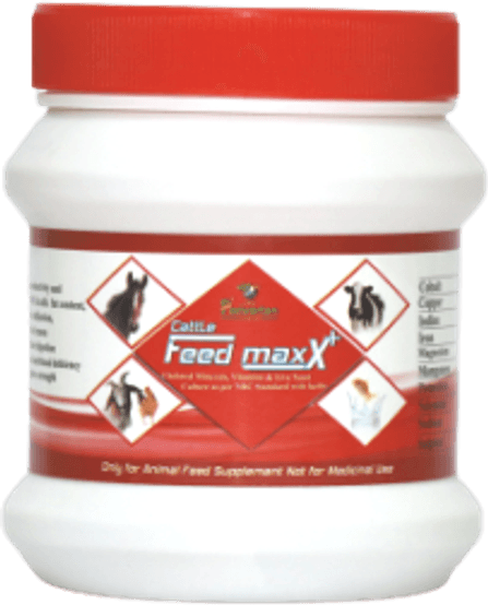 Cattle Feed Maxx