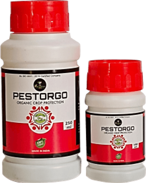 Pestorgo